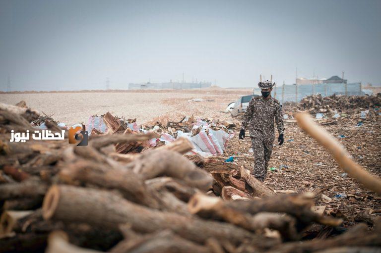 مواطن ينقل حطب محلي في الرياض ويخالف الانظمة البيئية المعمول بها