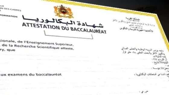 نتائج البكالوريا