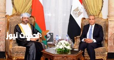 وزير الخارجية ونظيره العماني يقودان جلسات اللجنة المشتركة في القاهرة