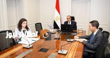 وزير الخارجية يشارك في اللقاء الافتراضي مع الجالية المصرية في الولايات المتحدة