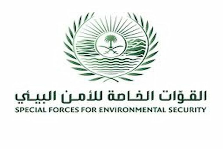 الأمن البيئي