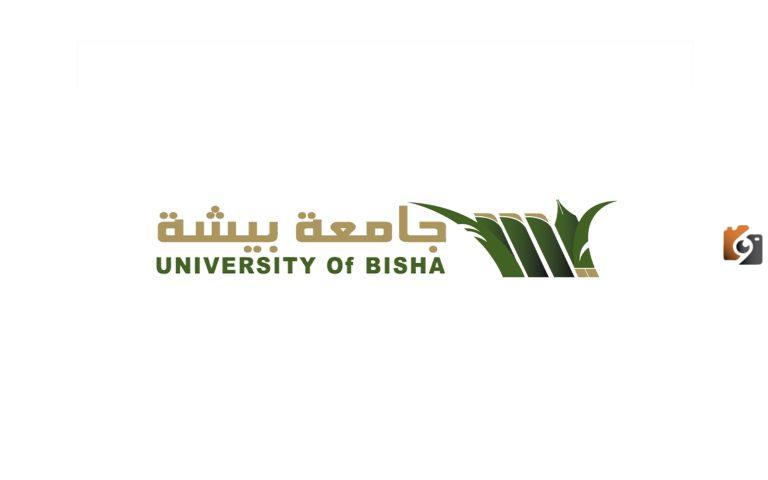 جامعة بيشة