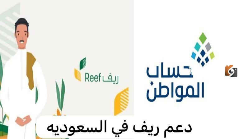 حساب المواطن