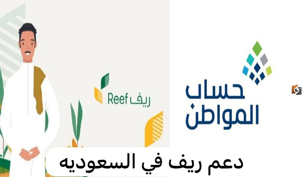 حساب المواطن