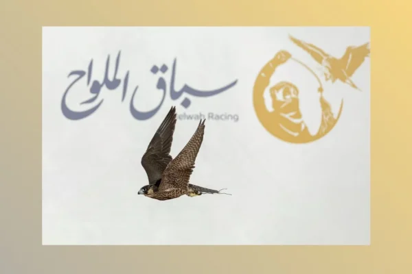 سباق الملواح