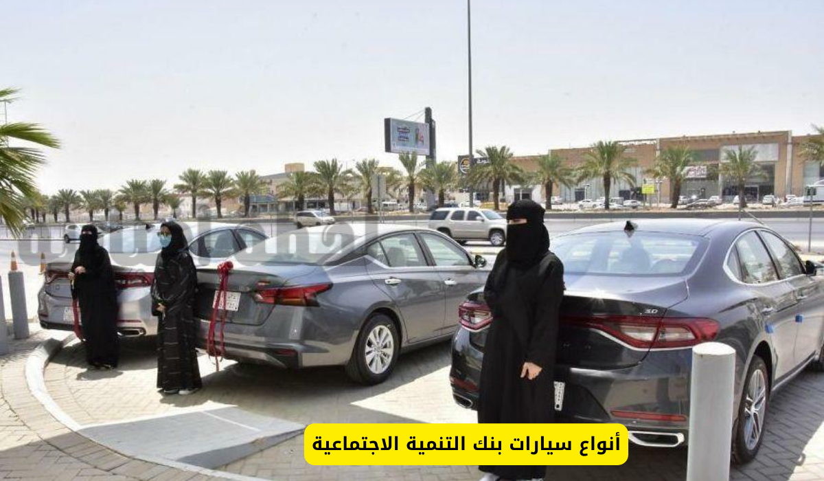 أنواع السيارات في بنك التنمية الاجتماعية