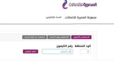 فاتورة التليفون الارضي