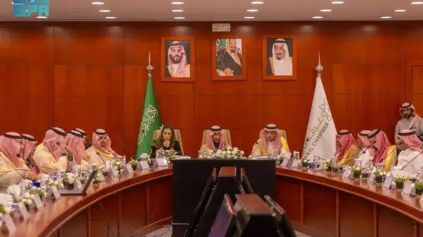 مشروعات حائل