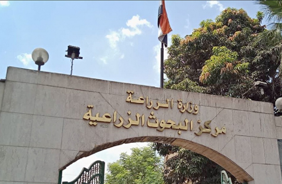 خبير مناخي: استمرار تأثير المنخفض الجوي على معظم مناطق مصر حتى الجمعة - جريدة لحظات نيوز