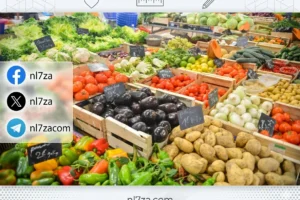 أسعار الخضار اليوم