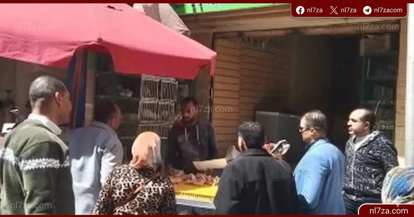 حملة مكثفة بالجيزة
