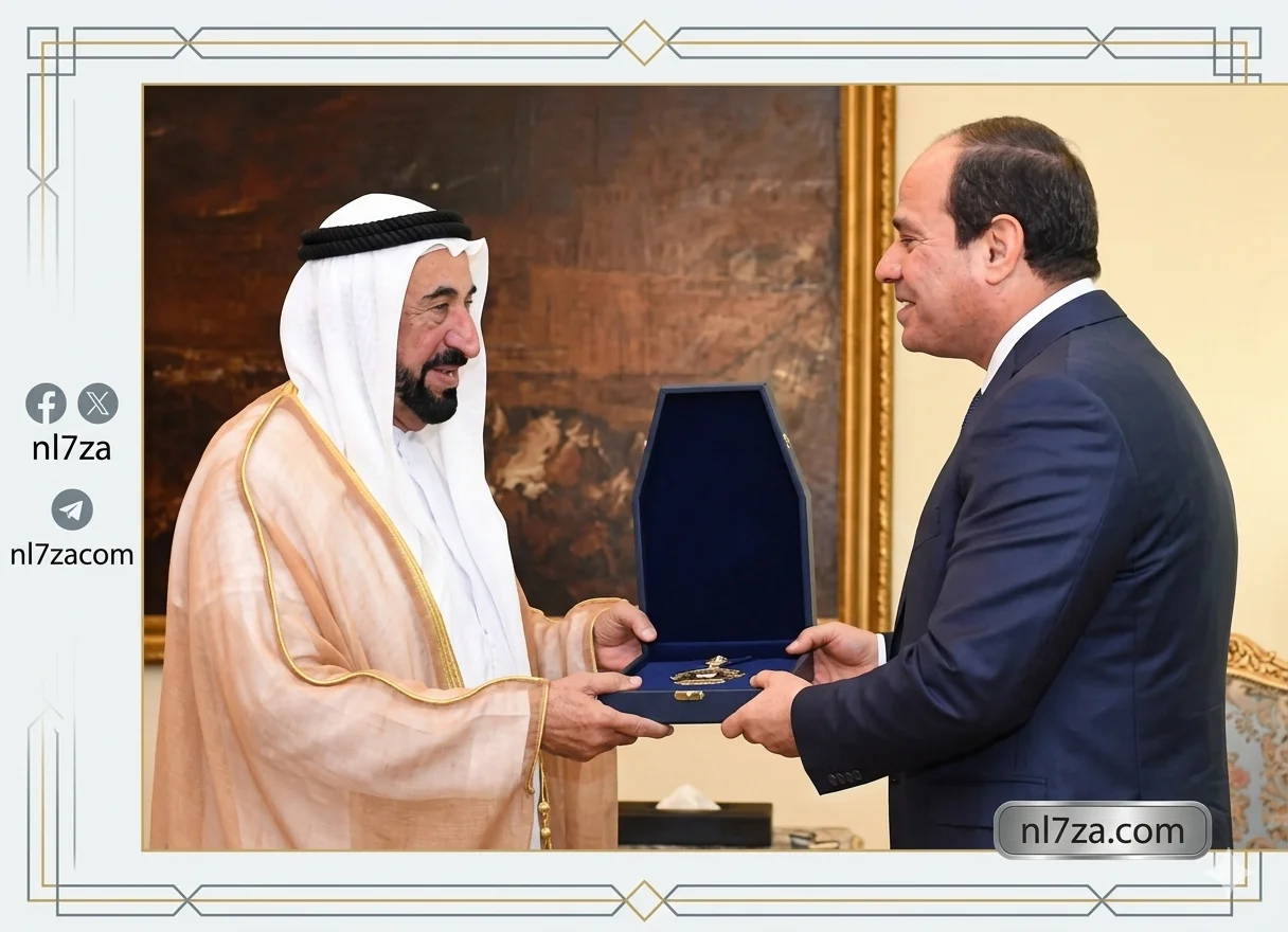 عبد العاطي يترأس مباحثات مع الإمارات ويؤكد دعم مصر للأمن والاستقرار الخليجي