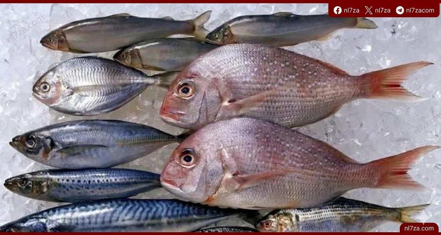  أسعار الأسماك