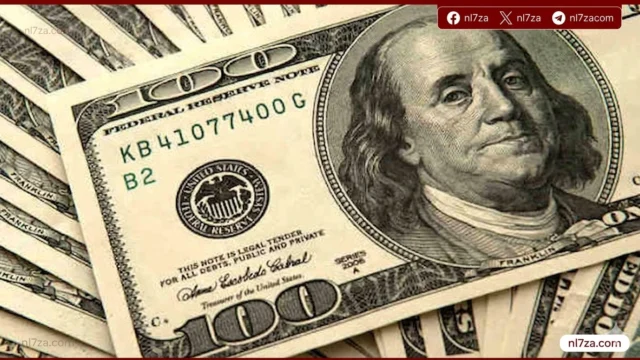 استقرار سعر الدولار