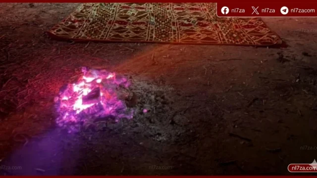 الأمن البيئي