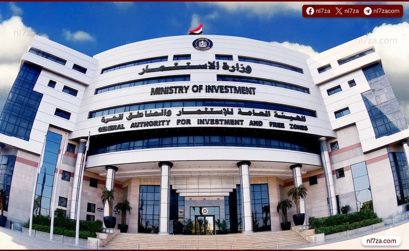 الاستثمار في مصر