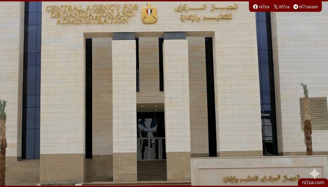 التنظيم والإدارة