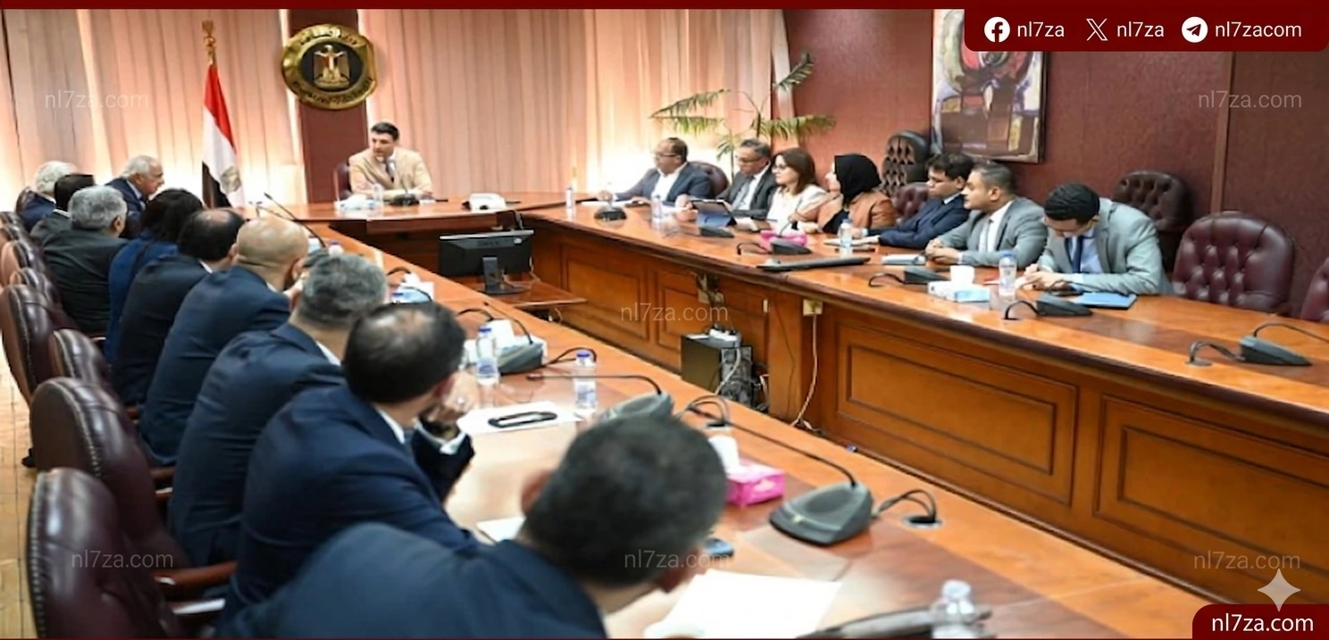 الصناعة المصرية
