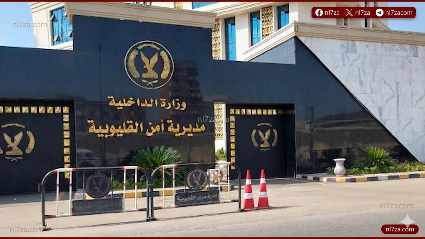 القليوبية