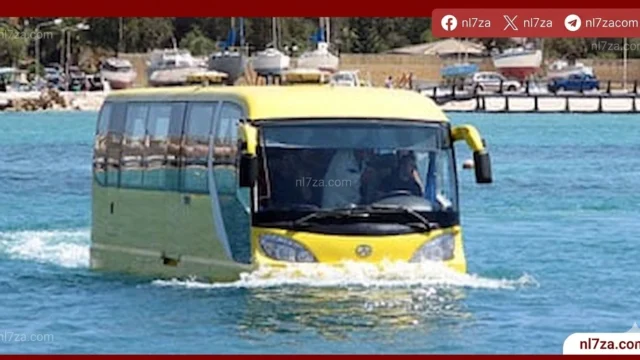 المركبات البرمائية