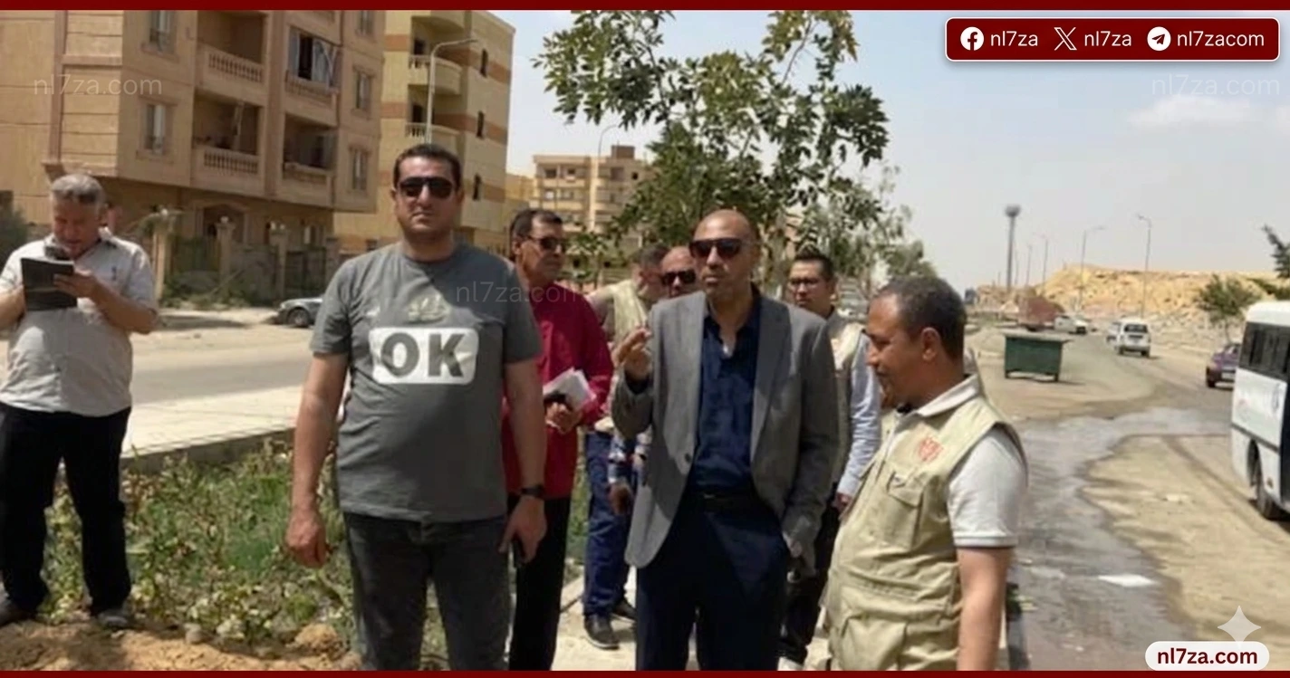 المهندسة راندة المنشاوي
