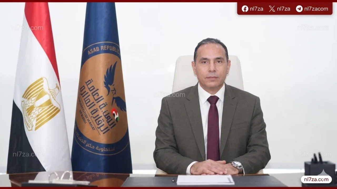 الهيئة العامة للرقابة المالية مصر