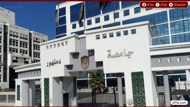 جامعة دمنهور