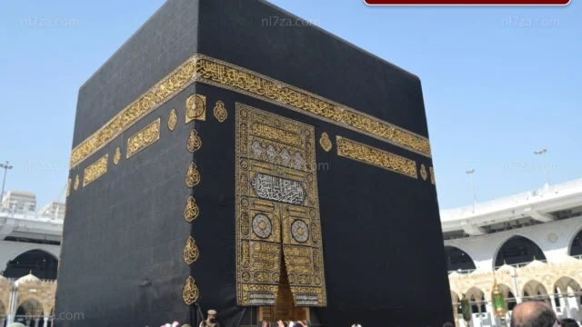 دار الإفتاء