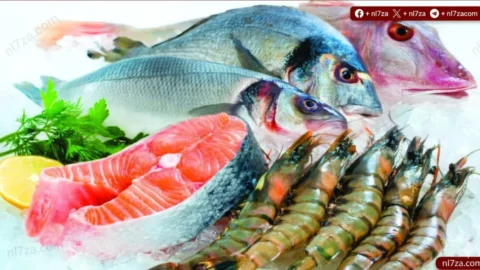 أسعار الأسماك