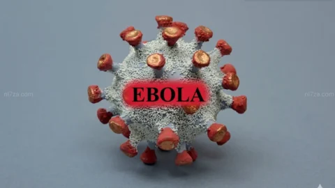 إيبولا