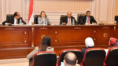 اجتماع لجنه الطاقة