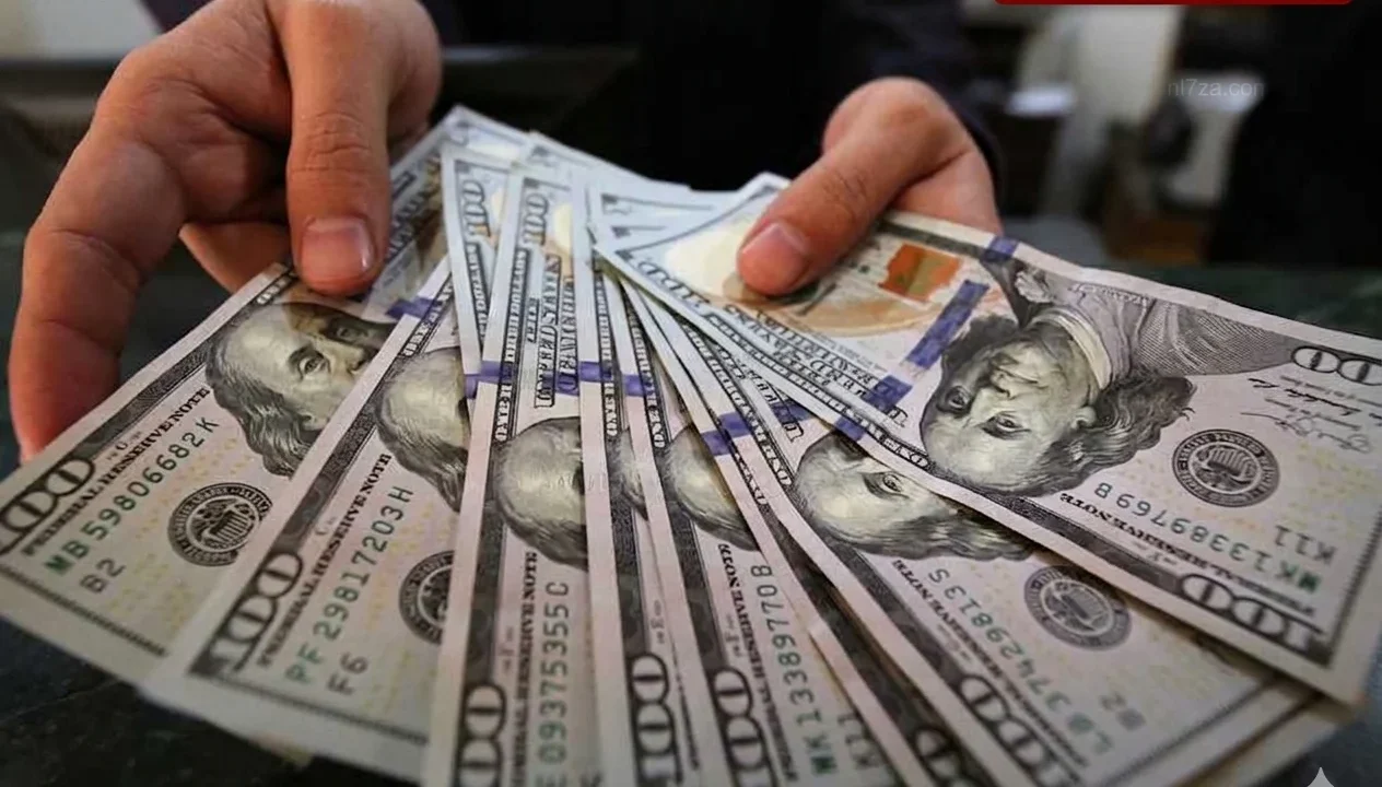استقرار سعر الدولار