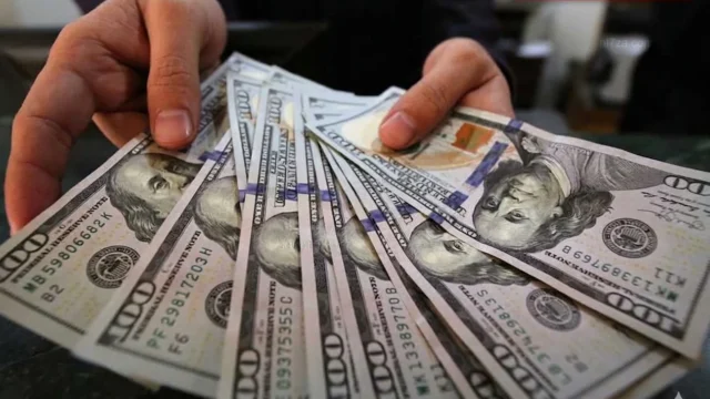 استقرار سعر الدولار