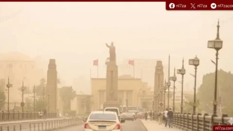 الأرصاد