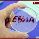 البنك الدولي يتحرك لاحتواء تفشي الإيبولا في الكونغو الديمقراطية بحزمة دعم عاجلة