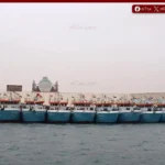 “ريف السعودية” ينجز 50% من مشروع مزاد الأسماك ومركز القوارب بالرايس لتعزيز الاقتصاد البحري