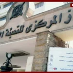 قفزة في إنتاج القطاع غير الرسمي بمصر إلى 582 مليار جنيه خلال 2023