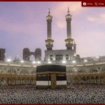 تحركات عاجلة لتسهيل تسليم بطاقة «نسك» لحجاج السياحة وتسريع وصول الحقائب للفنادق