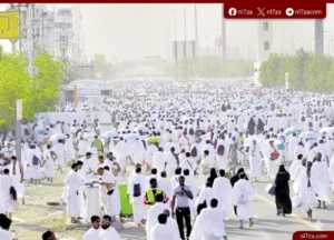 الجسر المصري إلى المشاعر المقدسة.. خطة متكاملة لتفويج أكثر من 76 ألف حاج