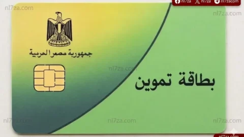 الدعم السلعي