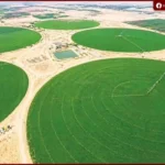 “الدلتا الجديدة”.. مشروع عملاق يعيد رسم خريطة الزراعة في مصر ويعزز الأمن الغذائي