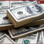 تباين سعر الدولار أمام الجنيه في البنوك المصرية مع بداية تعاملات اليوم