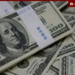 استقرار سعر الدولار أمام الجنيه المصري في البنوك خلال تعاملات السبت
