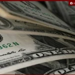 استقرار سعر الدولار أمام الجنيه المصري في ختام تعاملات الأحد