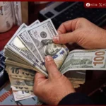 استقرار سعر الدولار أمام الجنيه في البنوك المصرية.. و52.97 جنيه للبيع بالبنك الأهلي