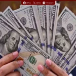الدولار يتراجع أمام الجنيه في ختام تعاملات البنوك المصرية اليوم