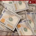 تراجع طفيف للدولار أمام الجنيه المصري خلال منتصف تعاملات الثلاثاء
