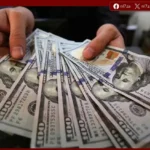 تحرك محدود للدولار أمام الجنيه المصري خلال تعاملات البنوك اليوم