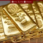 استقرار نسبي لأسعار الذهب في مصر مع هدوء تعاملات الصاغة اليوم