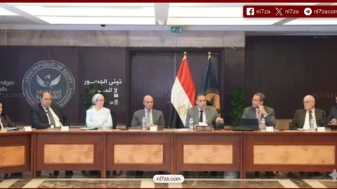 الرقابة المالية